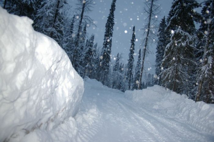 Amazing Winter Photography (65 pics)