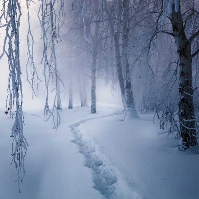 Amazing Winter Photography (65 pics)