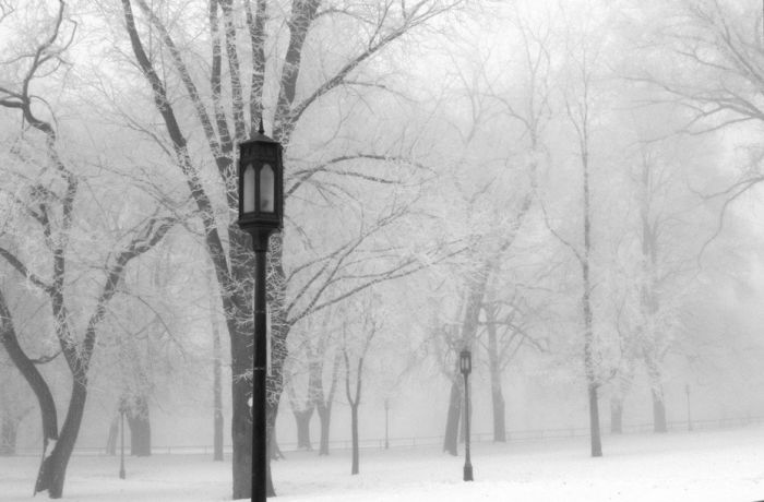Amazing Winter Photography (65 pics)