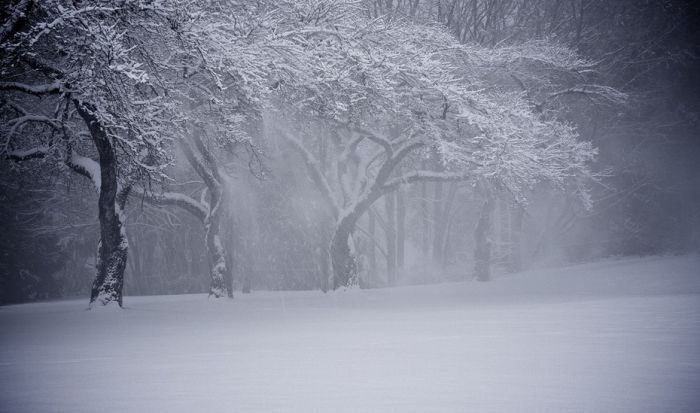 Amazing Winter Photography (65 pics)