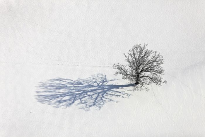 Amazing Winter Photography (65 pics)