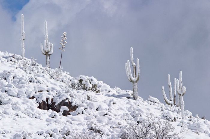 Amazing Winter Photography (65 pics)