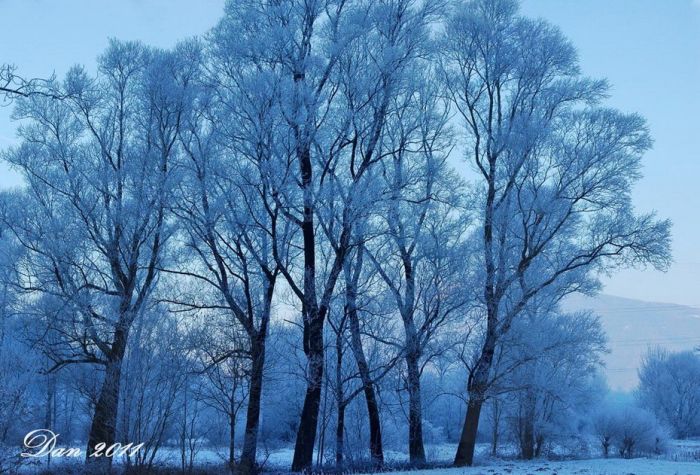Amazing Winter Photography (65 pics)