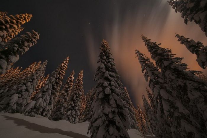 Amazing Winter Photography (65 pics)