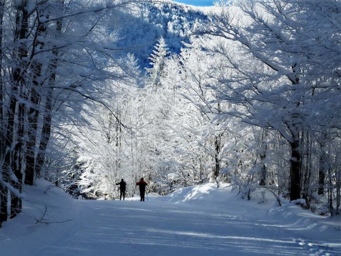 Amazing Winter Photography (65 pics)
