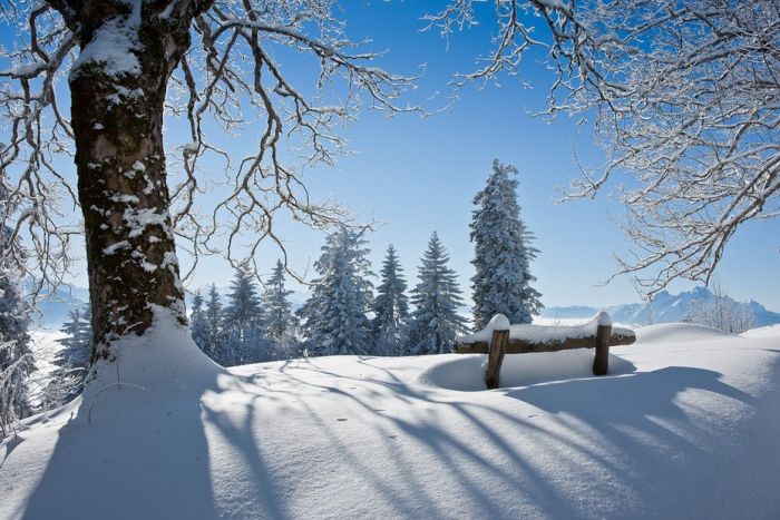 Amazing Winter Photography (65 pics)