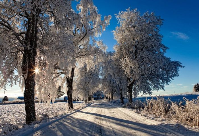 Amazing Winter Photography (65 pics)