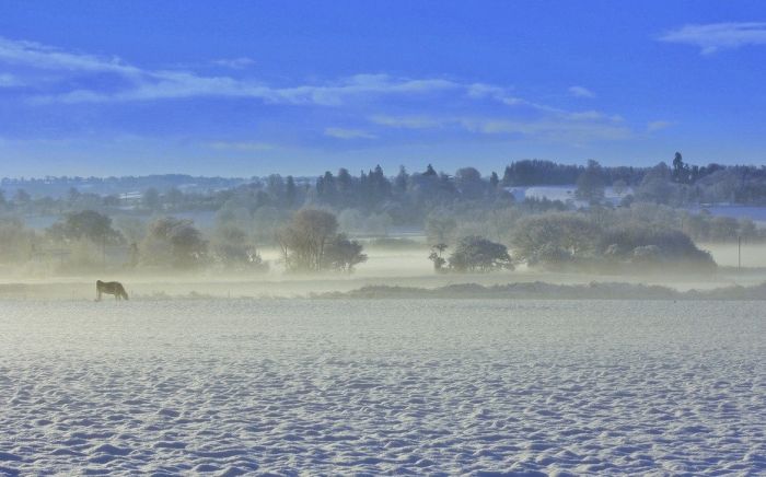Amazing Winter Photography (65 pics)