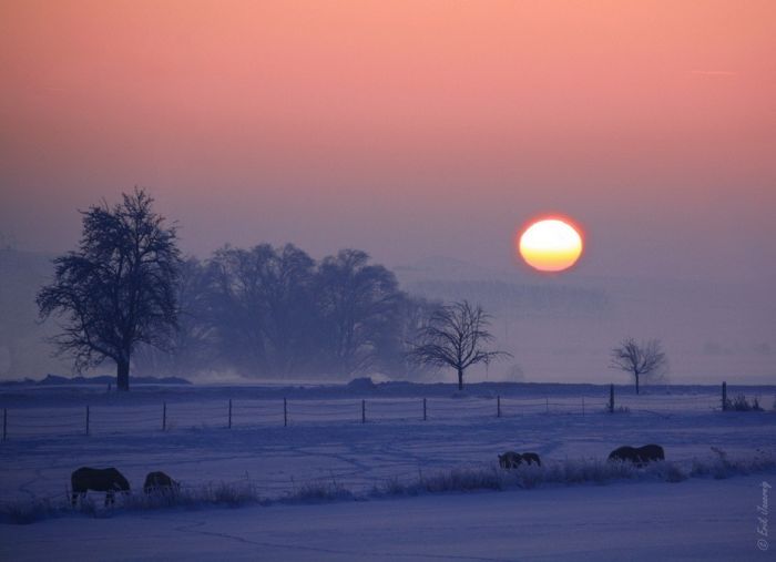Amazing Winter Photography (65 pics)