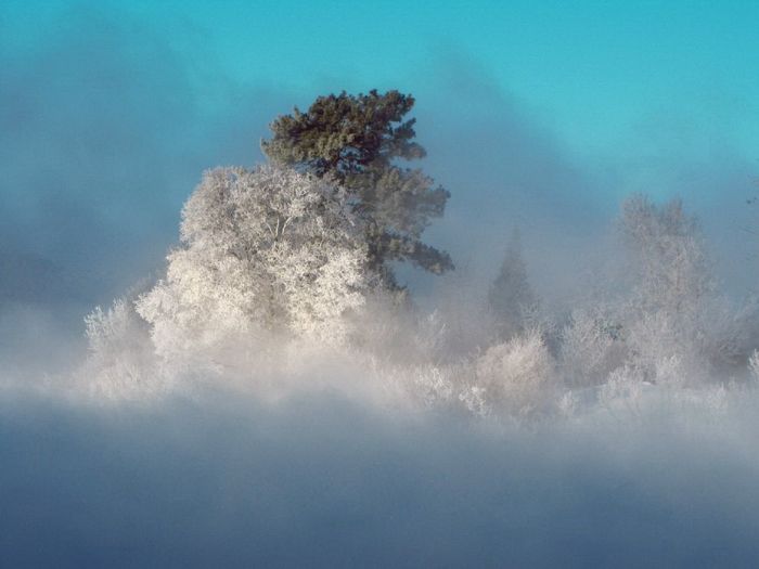 Amazing Winter Photography (65 pics)