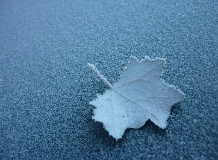 Amazing Winter Photography (65 pics)