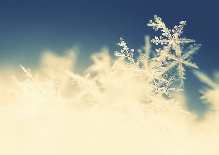 Amazing Winter Photography (65 pics)