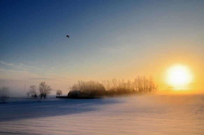 Amazing Winter Photography (65 pics)
