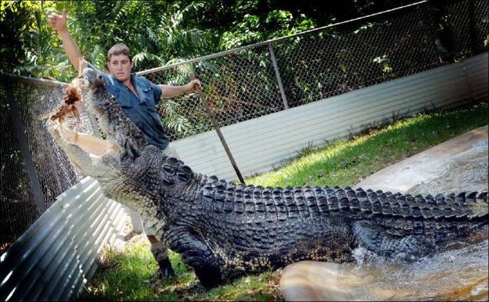 Acid Picdump (93 pics)