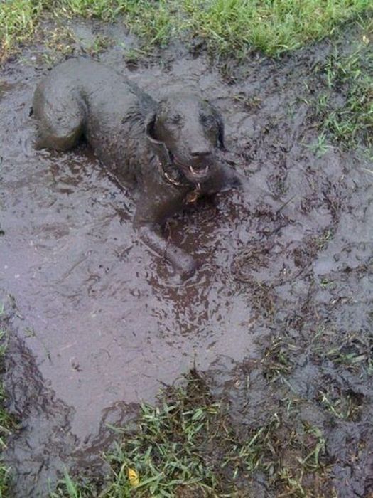 Acid Picdump (93 pics)