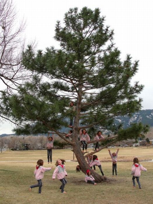 Acid Picdump (93 pics)