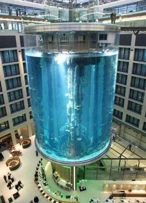 Acid Picdump (93 pics)
