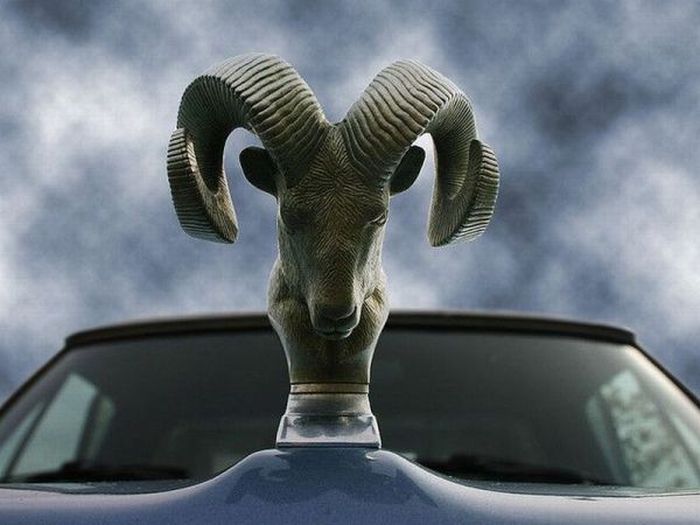Acid Picdump (93 pics)