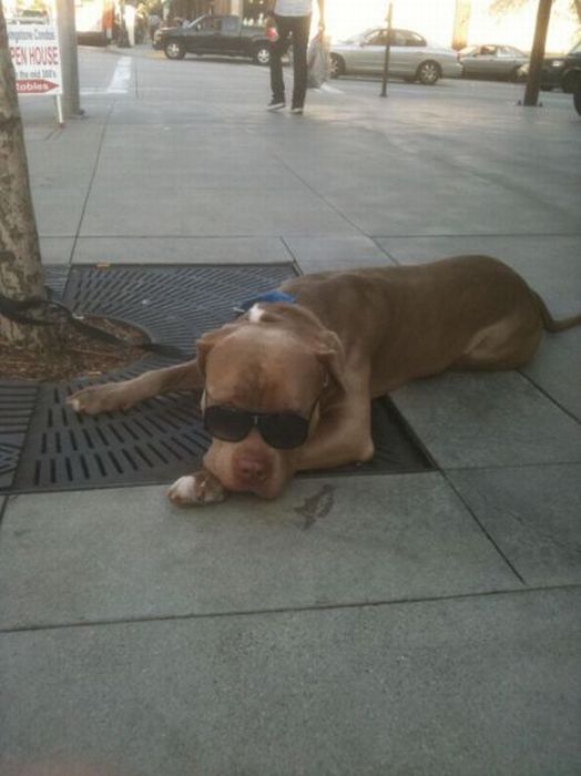 Acid Picdump (93 pics)