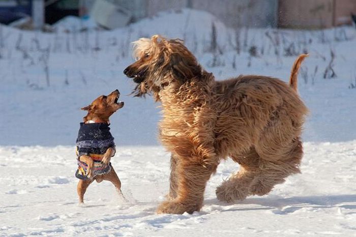 Acid Picdump (93 pics)