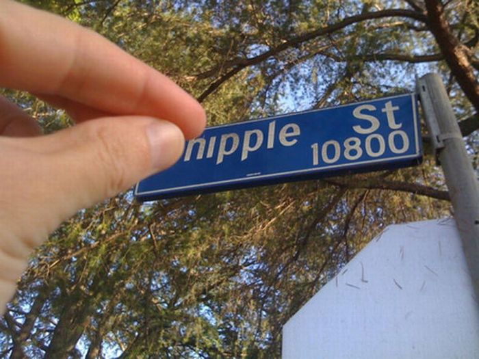 Fun with Signs (53 pics)