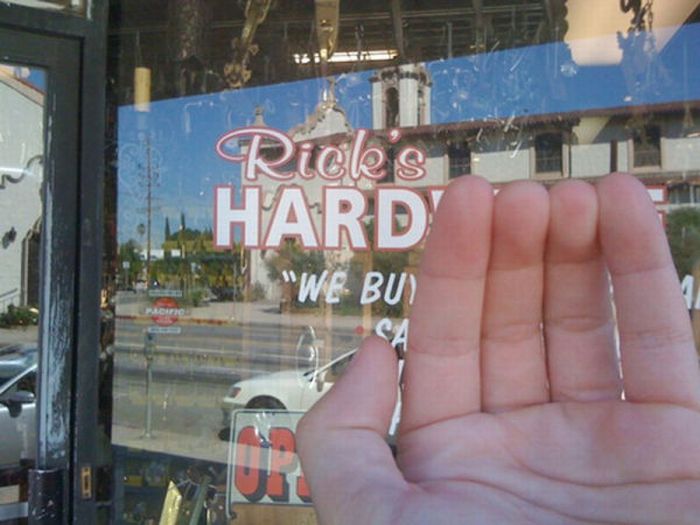Fun with Signs (53 pics)