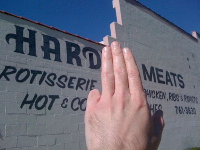 Fun with Signs (53 pics)