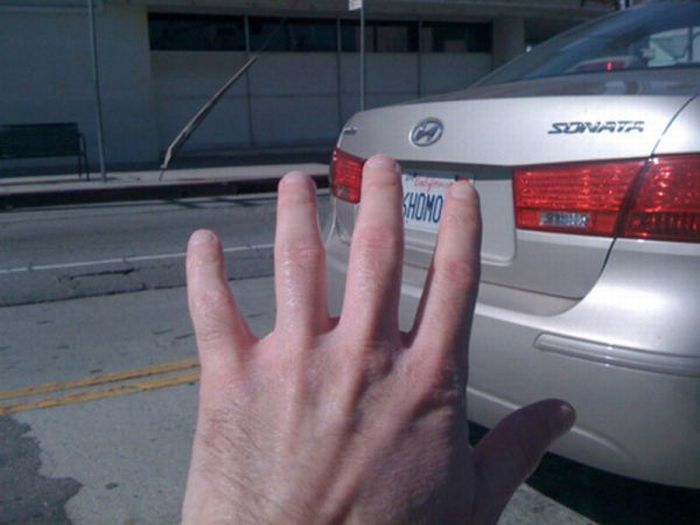 Fun with Signs (53 pics)
