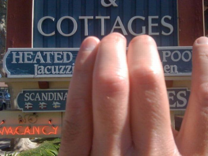 Fun with Signs (53 pics)