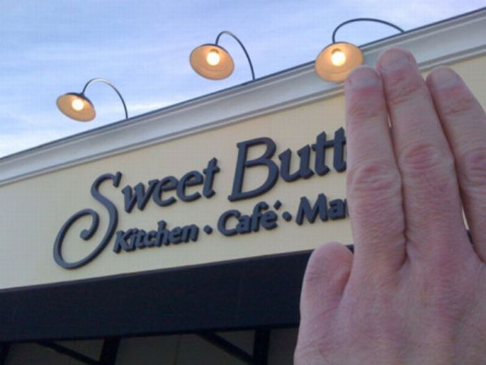 Fun with Signs (53 pics)