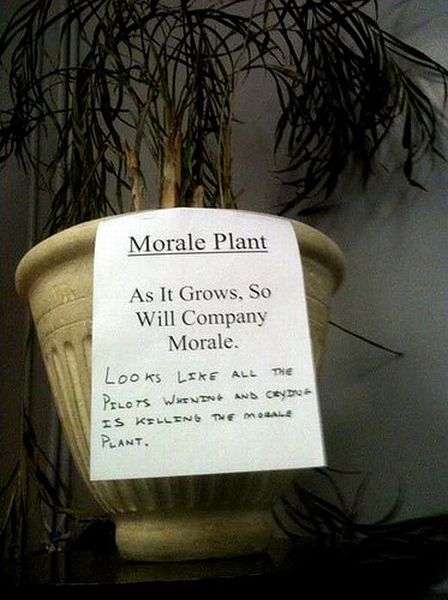 Hilarious Passive-Aggressive Office Notes (38 pics)