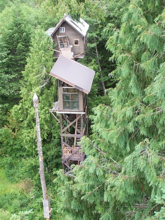 The Most Dangerous Treehouses (21 pics)