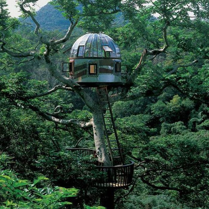 the-most-dangerous-treehouses-21-pics