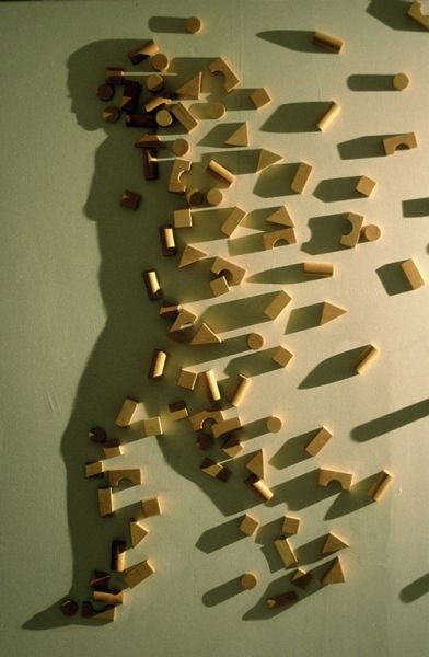 Amazing Shadow Art (21 pics)