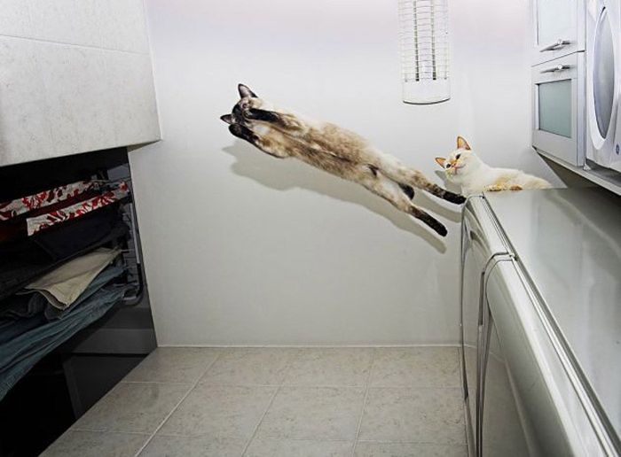Acid Picdump (91 pics)