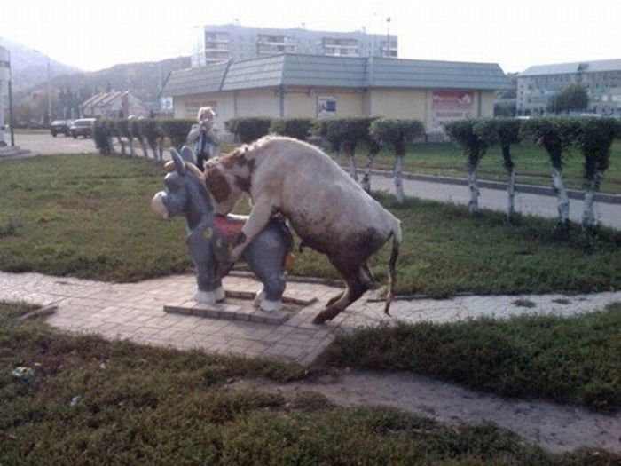 Acid Picdump (91 pics)