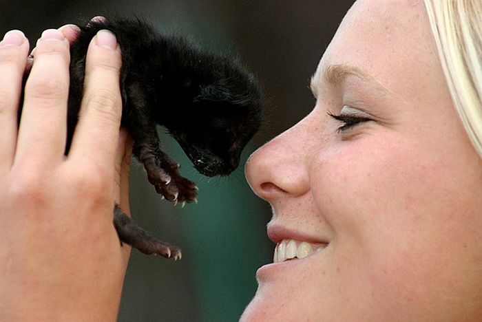 Acid Picdump (91 pics)