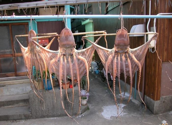 Acid Picdump (91 pics)
