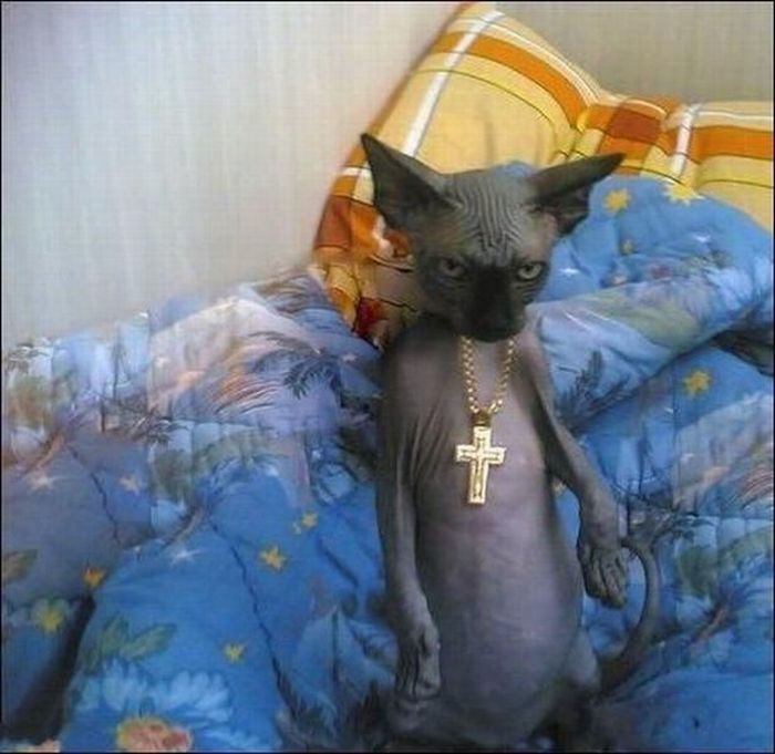 Acid Picdump (91 pics)