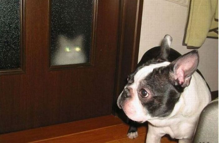 Acid Picdump (91 pics)