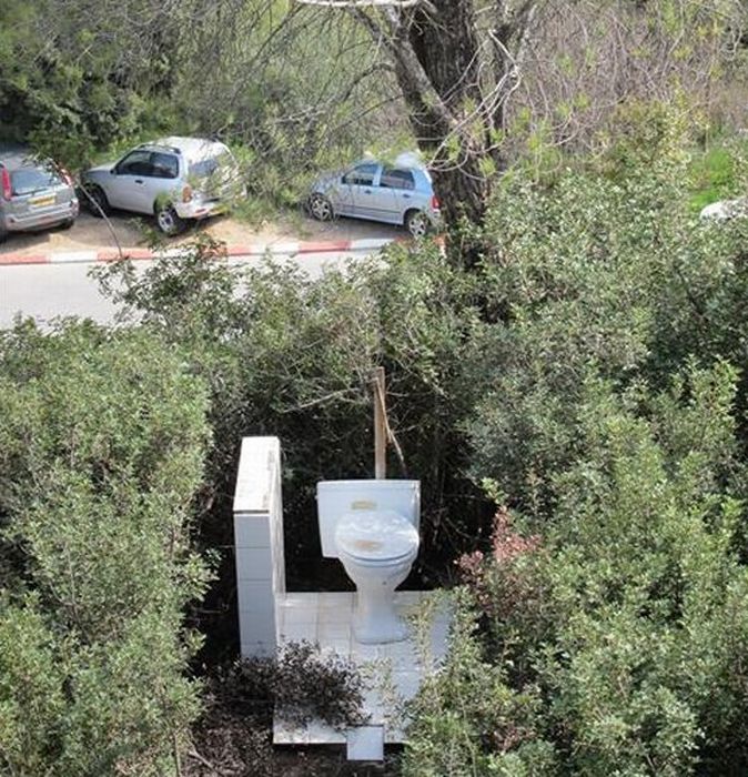 Acid Picdump (91 pics)