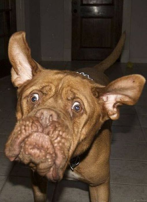 Acid Picdump (91 pics)