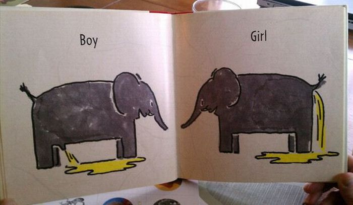 Pages from a Strange Children's Book (6 pics)
