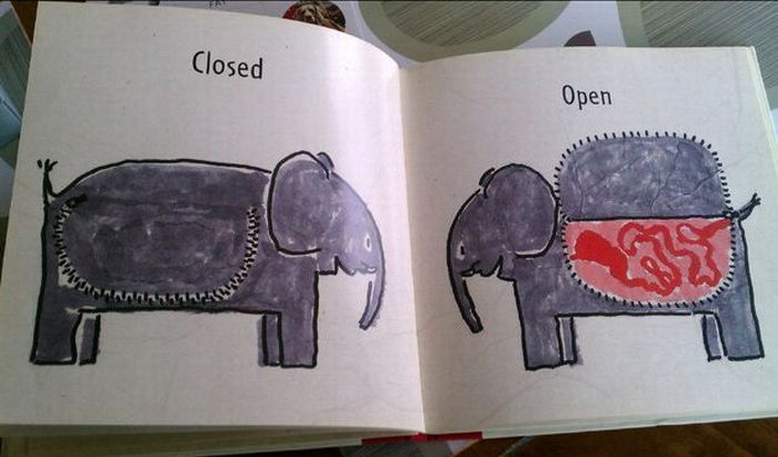 Pages from a Strange Children's Book (6 pics)
