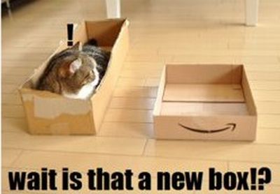 Cat & Box (6 pics)