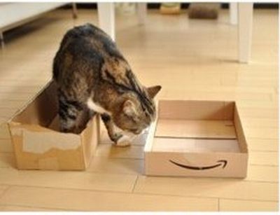 Cat & Box (6 pics)