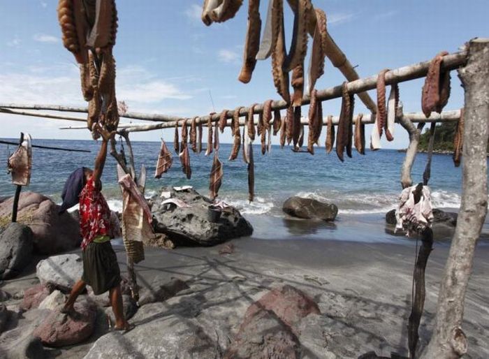Whale Hunting in Indonesia (23 pics)