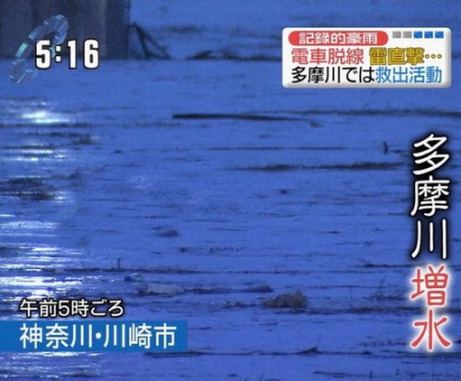 Poor Japanese Cat (1 pic)