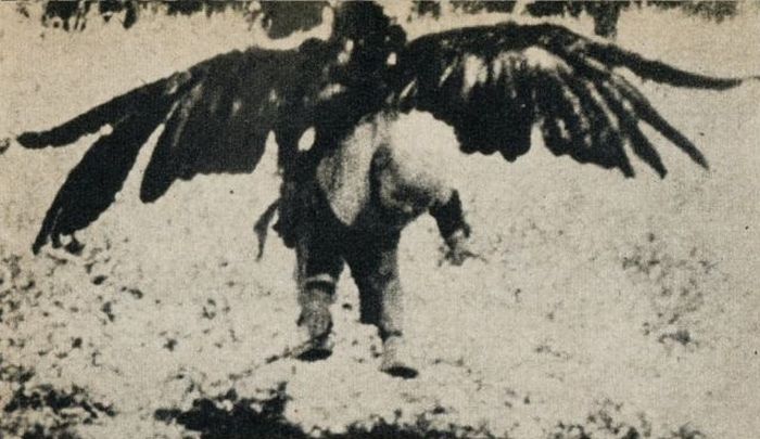 Eagle Steals Baby. Fake? (3 pics)