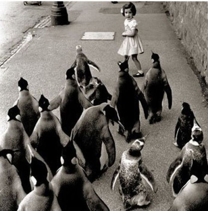 Weird and Funny Retro Photos. Part 3 (49 pics)